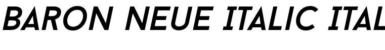Baron Neue Italic Italic