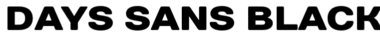 Days Sans Black Regular