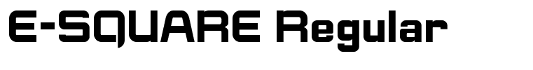 E-SQUARE Regular