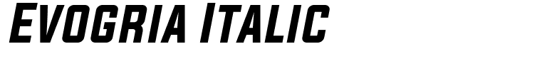 Evogria Italic
