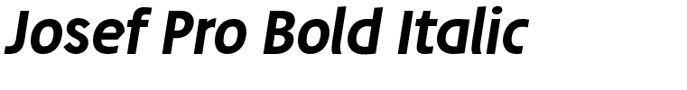 Josef Pro Bold Italic