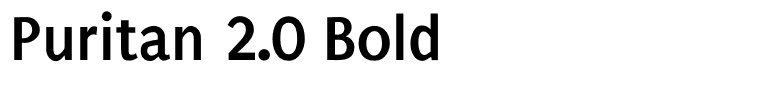 Puritan 2.0 Bold