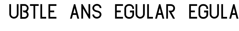 Subtle Sans Regular Regular