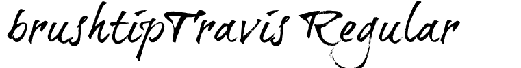 brushtipTravis Regular