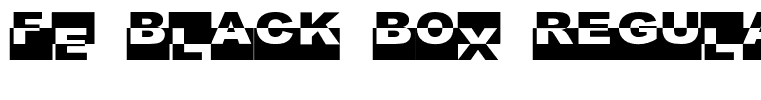 FE Black Box Regular