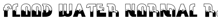 FLOOD WATER NORMAL Regular