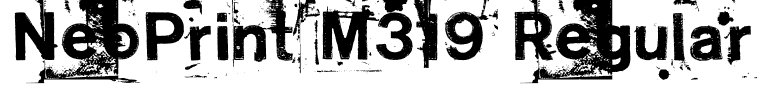 NeoPrint M319 Regular
