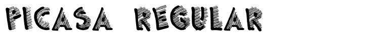 Picasa Regular