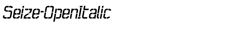 Seize-OpenItalic