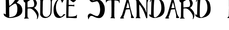 Bruce Standard Text Regular
