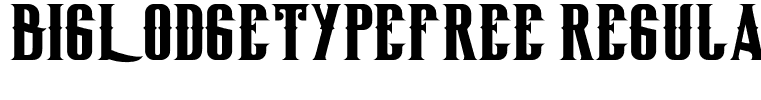 BigLodgeTypeFree Regular