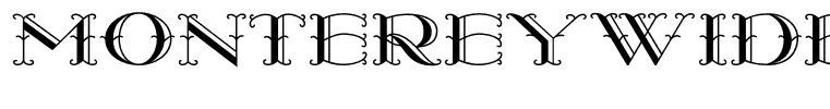 MontereyWide Regular