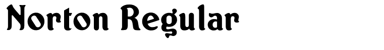 Norton Regular