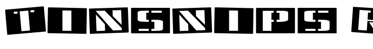 Tinsnips Regular