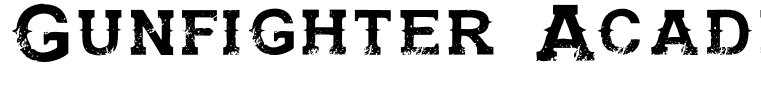 Gunfighter Academy Regular