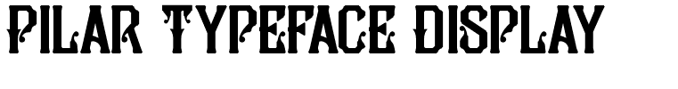 Pilar Typeface Display