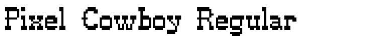 Pixel Cowboy Regular
