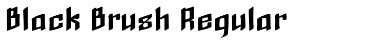 Black Brush Regular