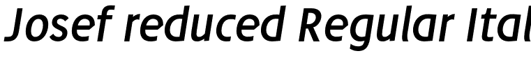 Josef reduced Regular Italic