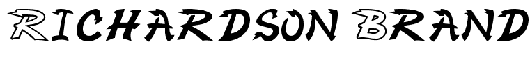 Richardson Brand Lightning Bolt Regular