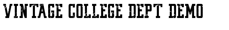 VINTAGE COLLEGE DEPT DEMO worn Regular