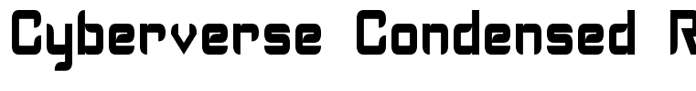 Cyberverse Condensed Regular