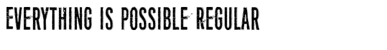 Everything is possible Regular