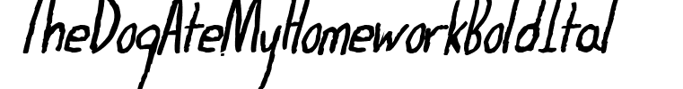 TheDogAteMyHomeworkBoldItal