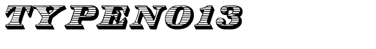 TypeNo13