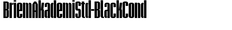 BriemAkademiStd-BlackCond
