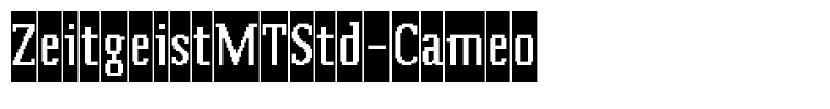 ZeitgeistMTStd-Cameo