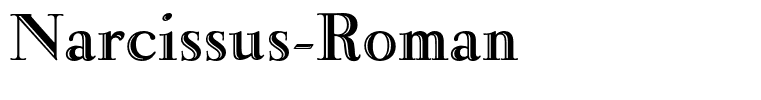 Narcissus-Roman