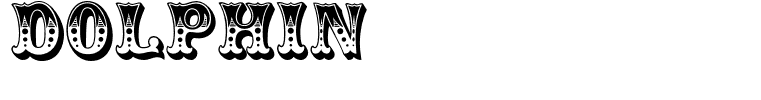 Dolphin