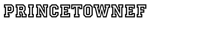 PrincetownEF