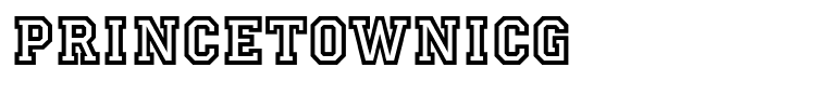 PrincetownICG