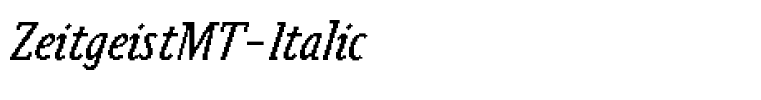 ZeitgeistMT-Italic