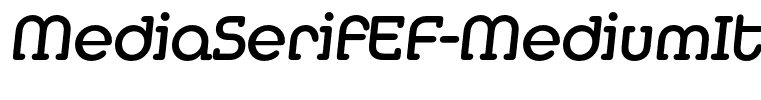 MediaSerifEF-MediumItalic