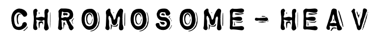 Chromosome-Heavy