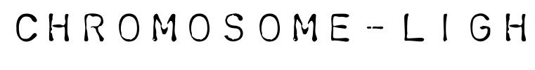 Chromosome-Light