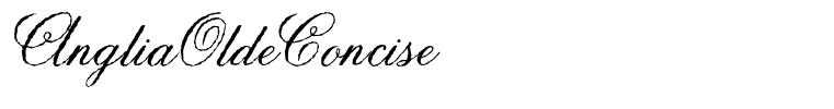 AngliaOldeConcise