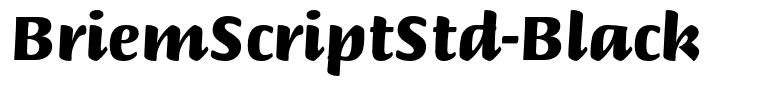 BriemScriptStd-Black