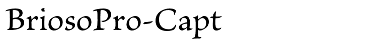 BriosoPro-Capt