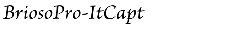 BriosoPro-ItCapt