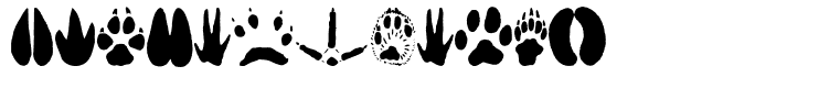 AnimalTracks