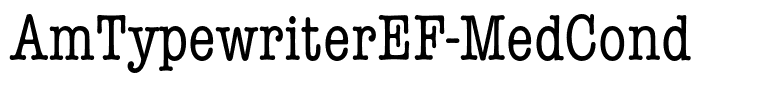 AmTypewriterEF-MedCond