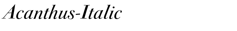 Acanthus-Italic