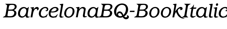 BarcelonaBQ-BookItalic