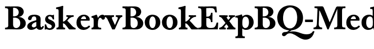BaskervBookExpBQ-MediumOsF
