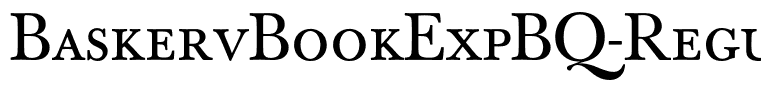 BaskervBookExpBQ-Regular