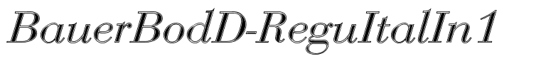 BauerBodD-ReguItalIn1